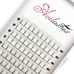 Hot selling pre fan 6D lashes D Curl 12mm