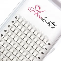 Wholesale pre fan 6D lashes C Curl 10mm