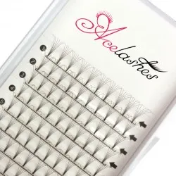 Private label 6D pre fan volume lashes C Curl 13mm