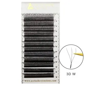 W Lash Extensions (Y Lashes) | Acelashextensions.com